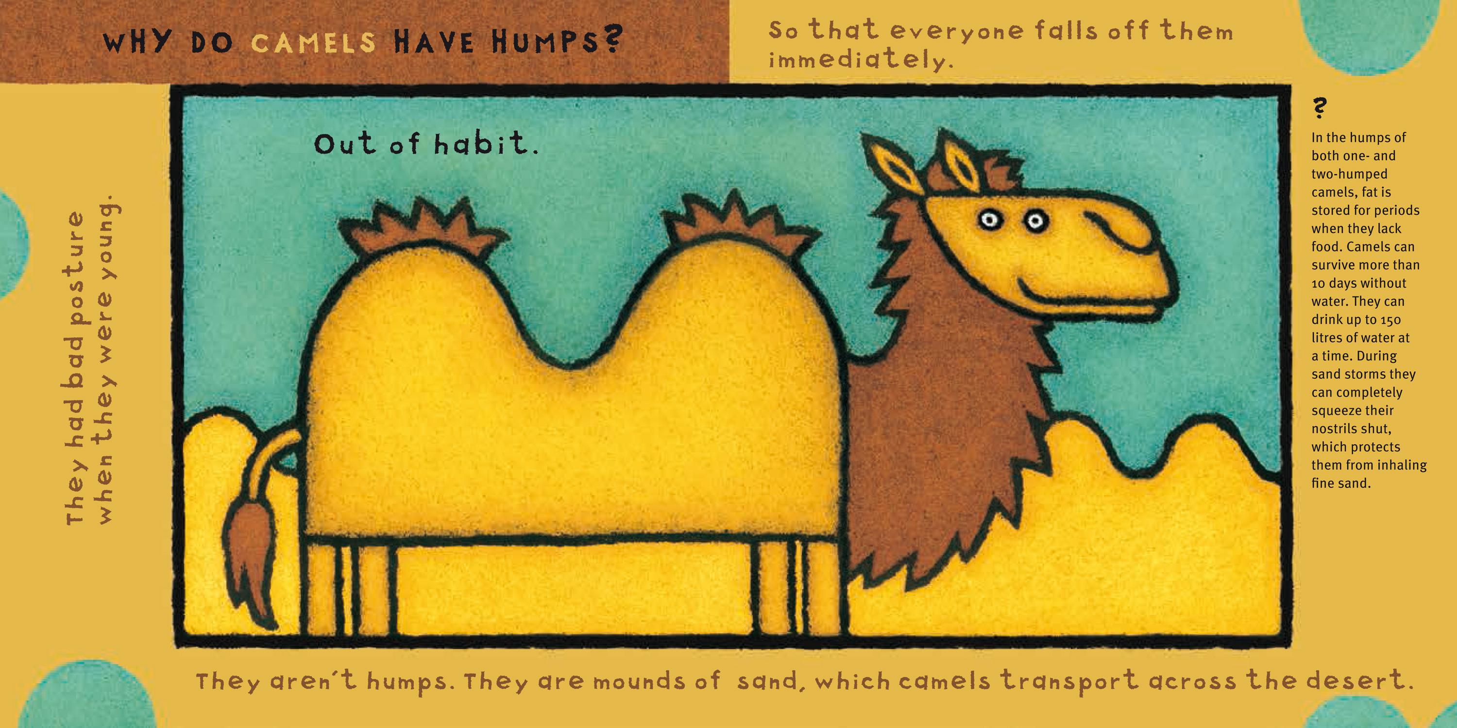 Beispielinhalt (Bild) Warum?