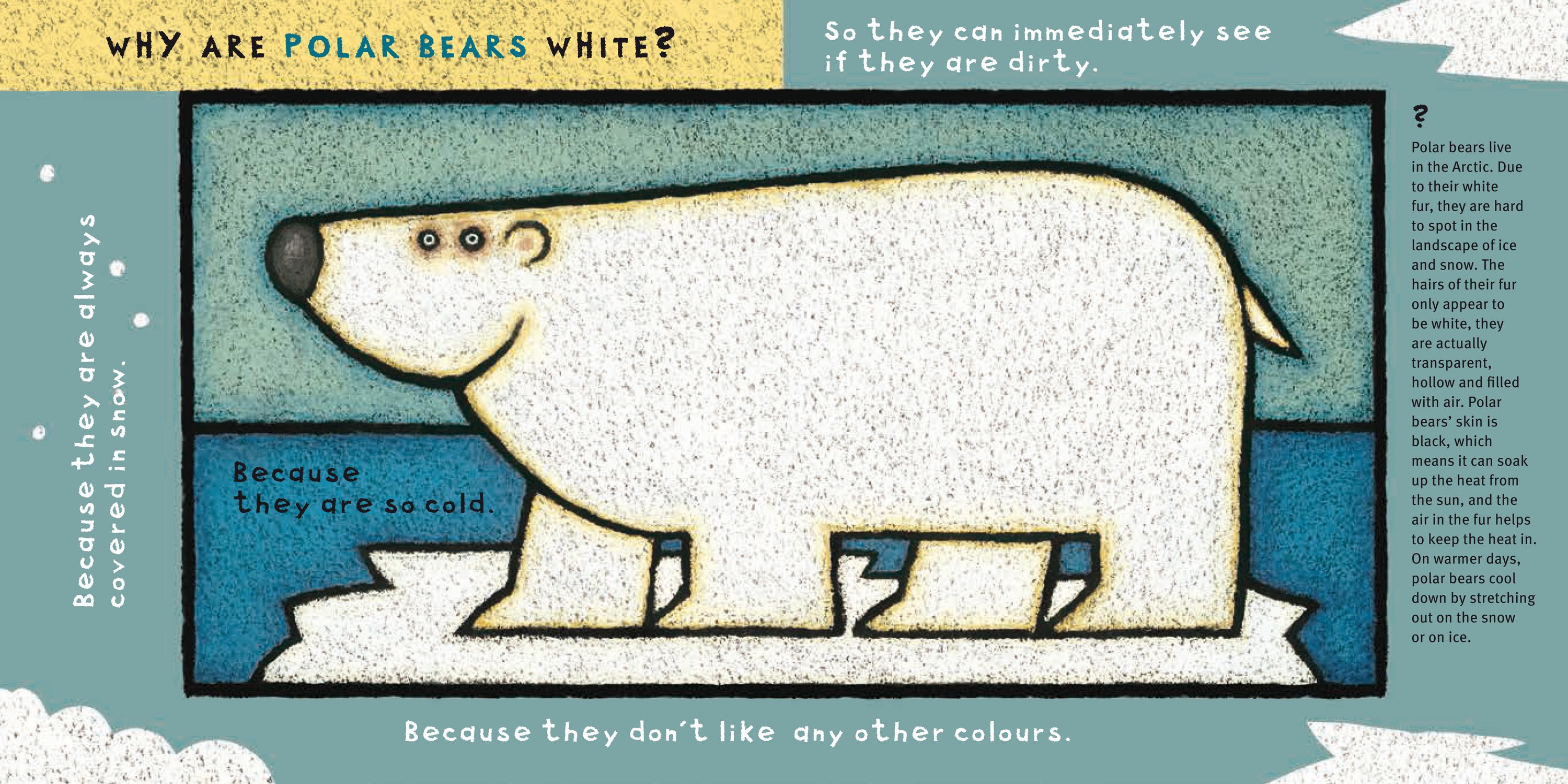 Beispielinhalt (Bild) Warum?