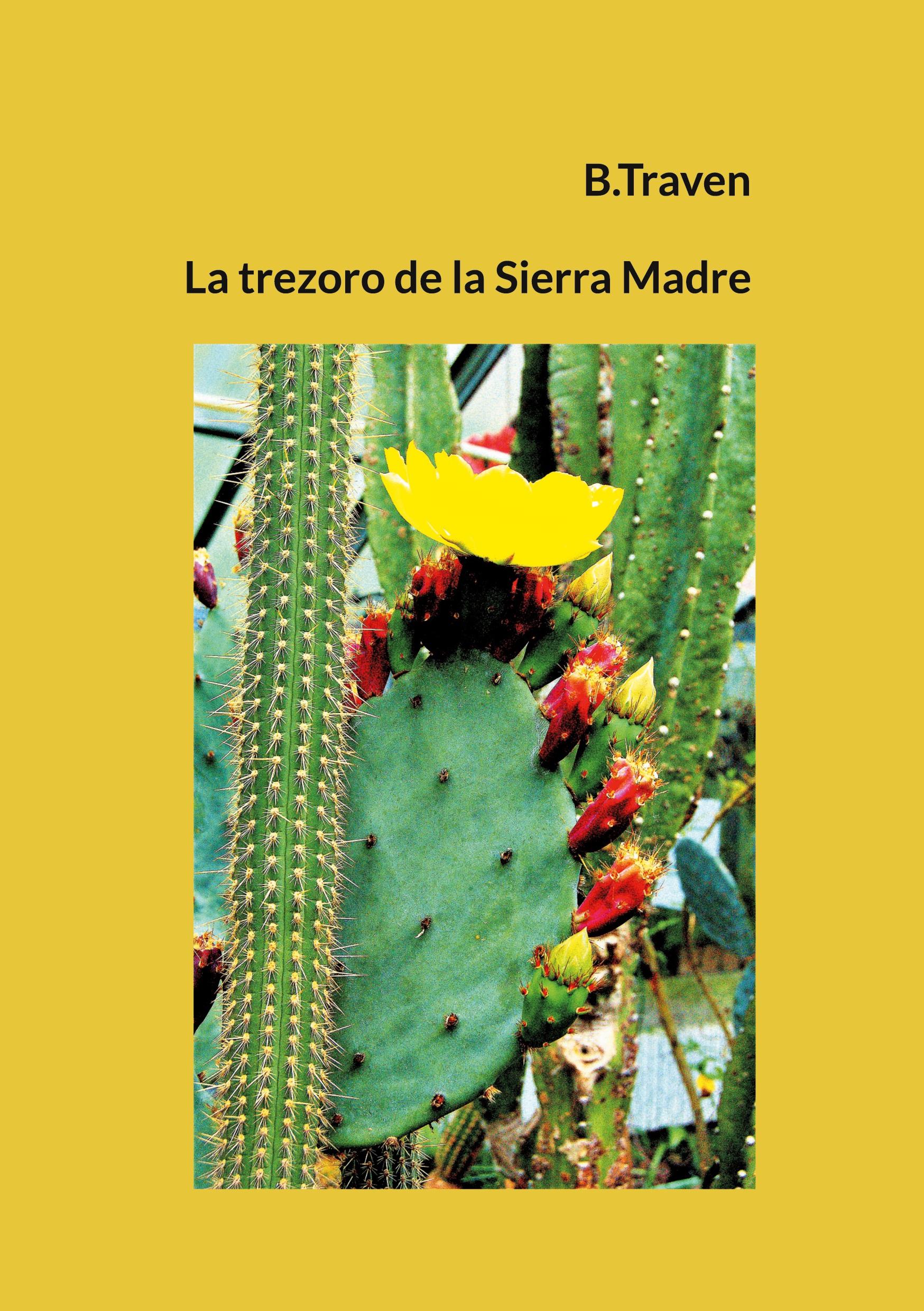 Vorderes Coverbild La trezoro de la Sierra Madre