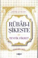Vorderes Coverbild Rübab-i Sikeste