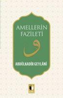 Vorderes Coverbild Amellerin Fazileti
