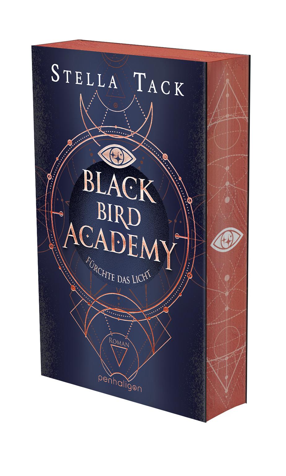 Vorderes Coverbild Black Bird Academy - Fürchte das Licht