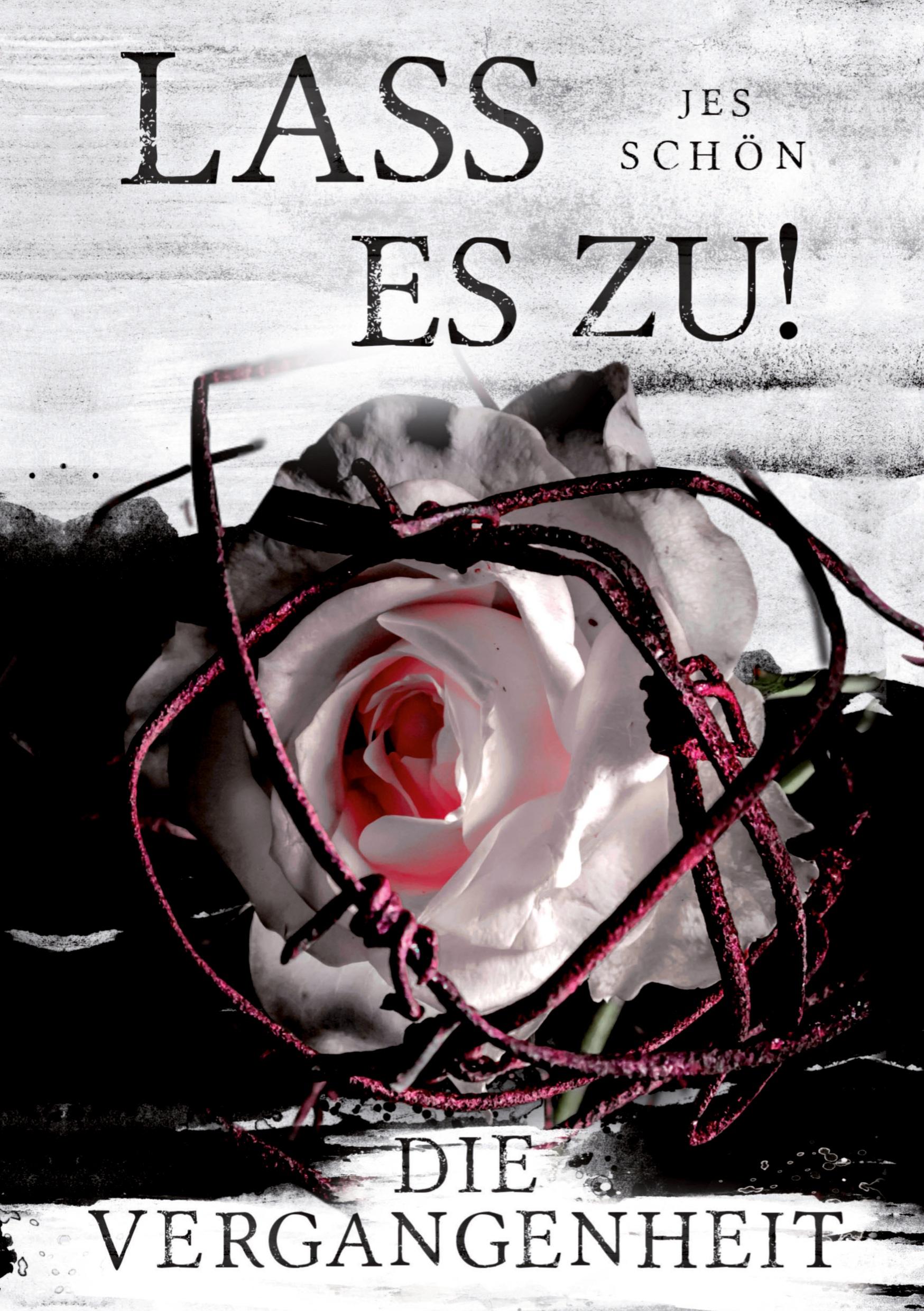 Vorderes Coverbild Lass es zu! Die Vergangenheit