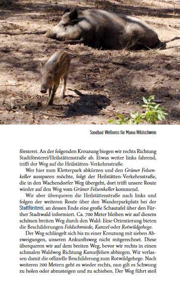 Beispielinhalt (Bild) Familien-Radtouren in Franken