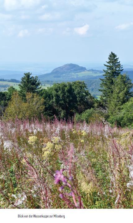 Beispielinhalt (Bild) Ausflugsverführer Rhön