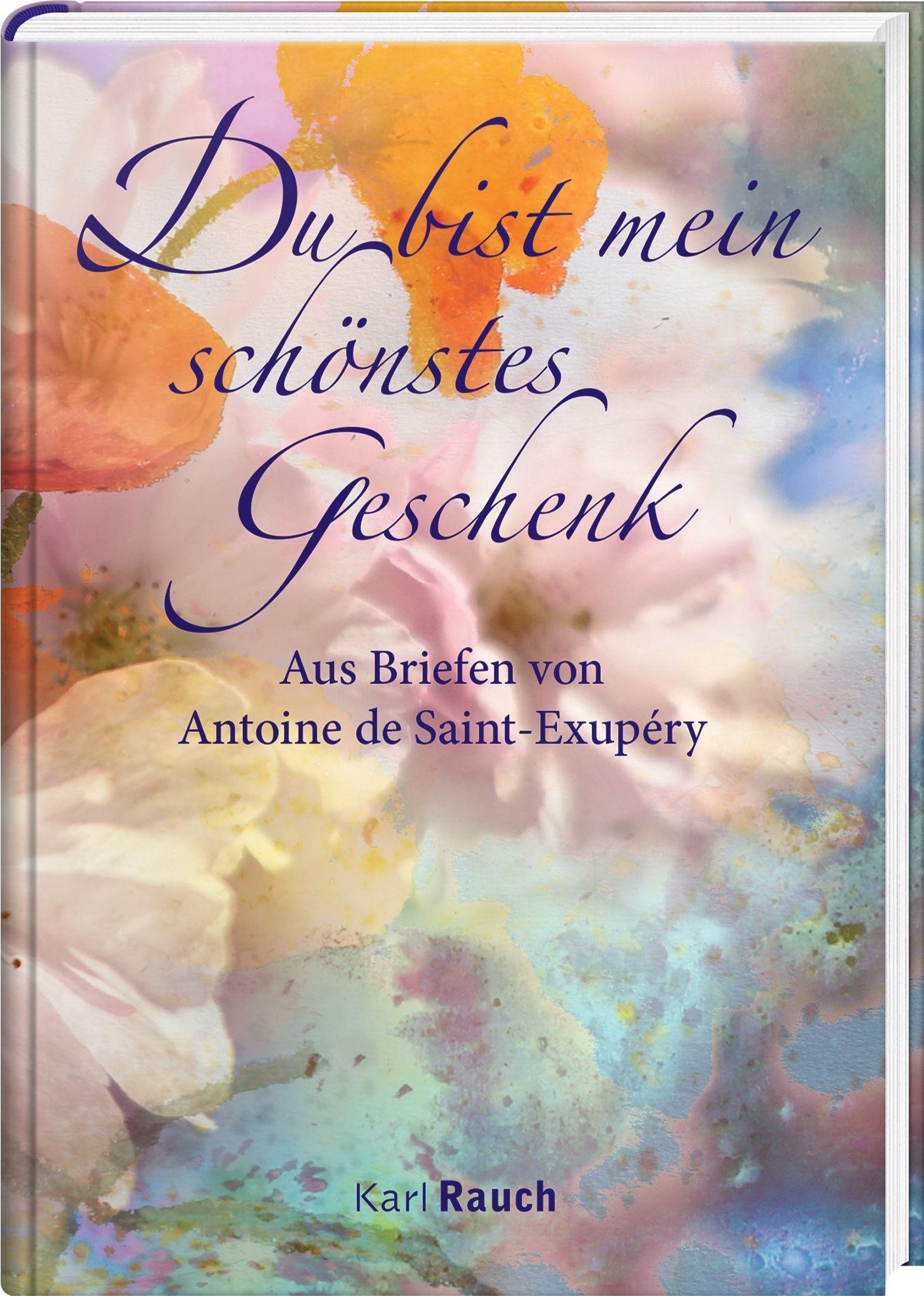 Vorderes Coverbild Du bist mein schönstes Geschenk