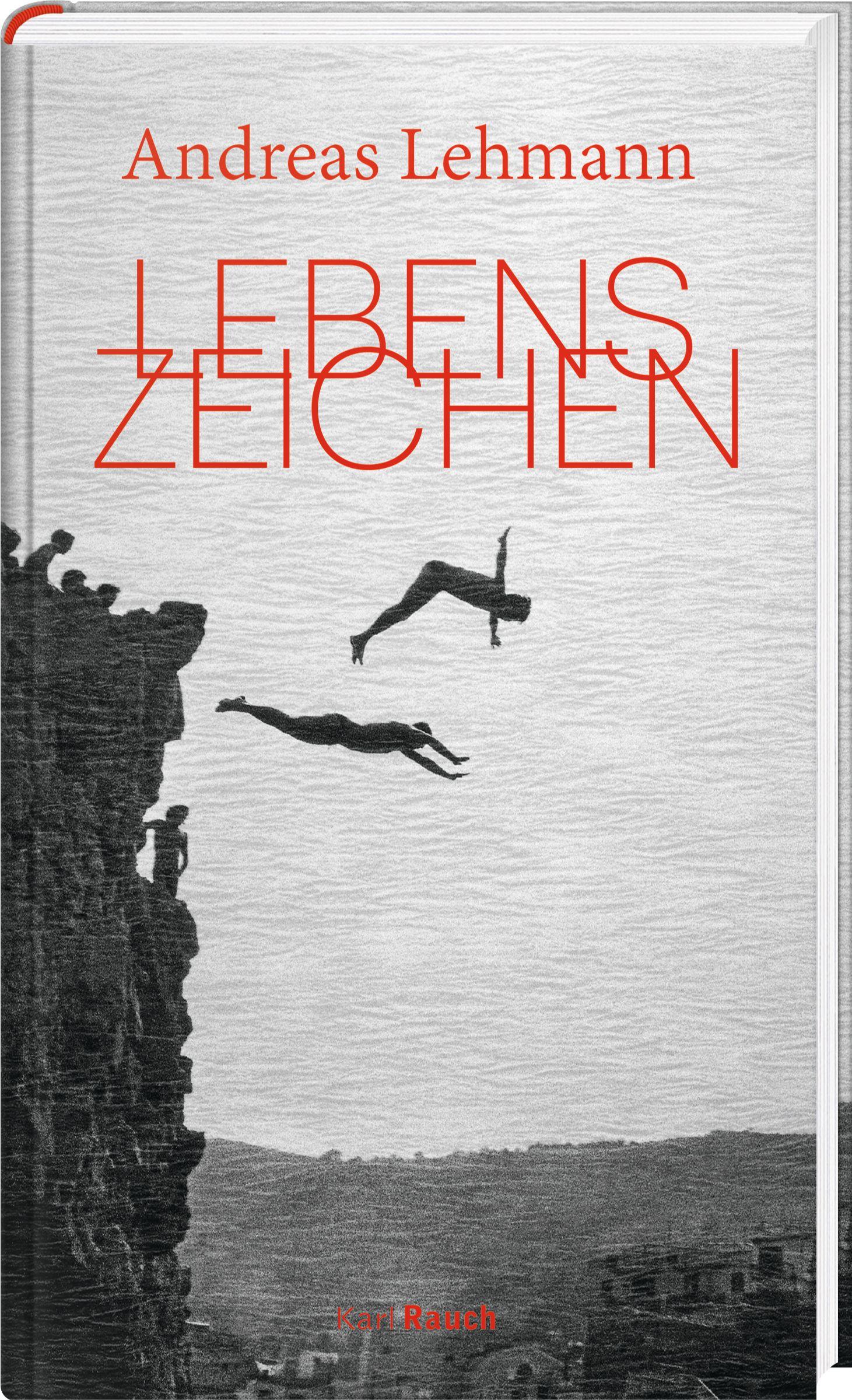 Vorderes Coverbild Lebenszeichen