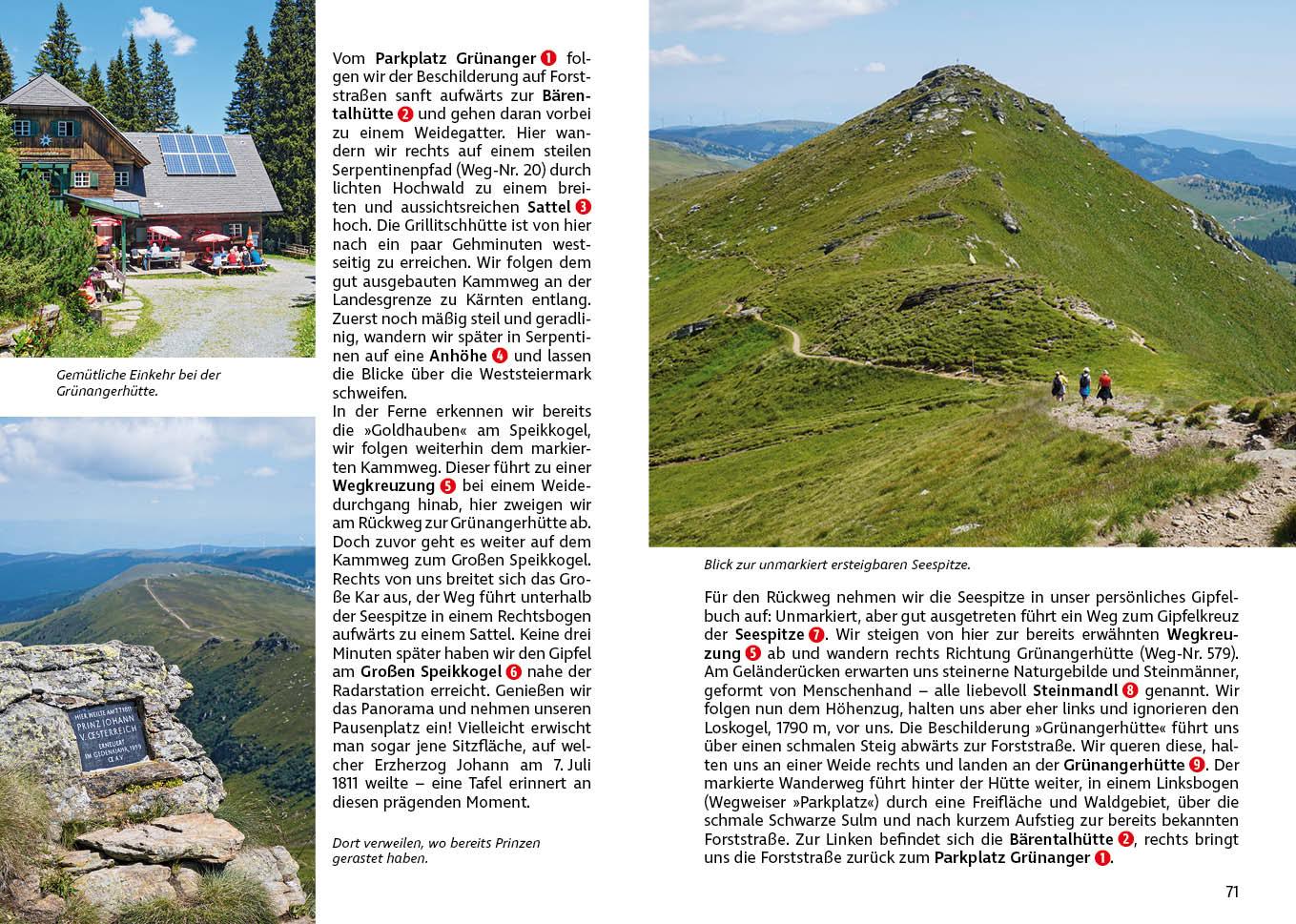Beispielinhalt (Bild) Steirisches Weinland