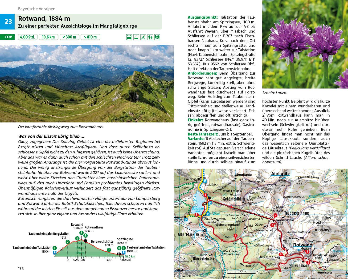 Beispielinhalt (Bild) Blumenwanderungen Bayerische Alpen