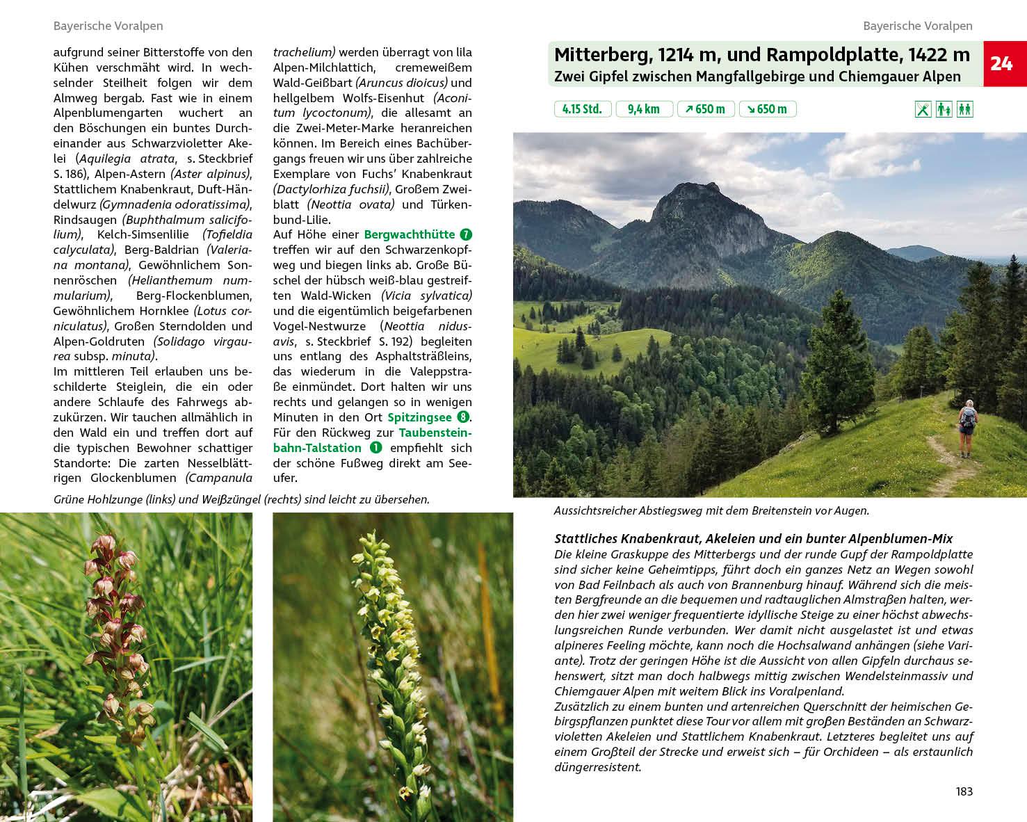 Beispielinhalt (Bild) Blumenwanderungen Bayerische Alpen