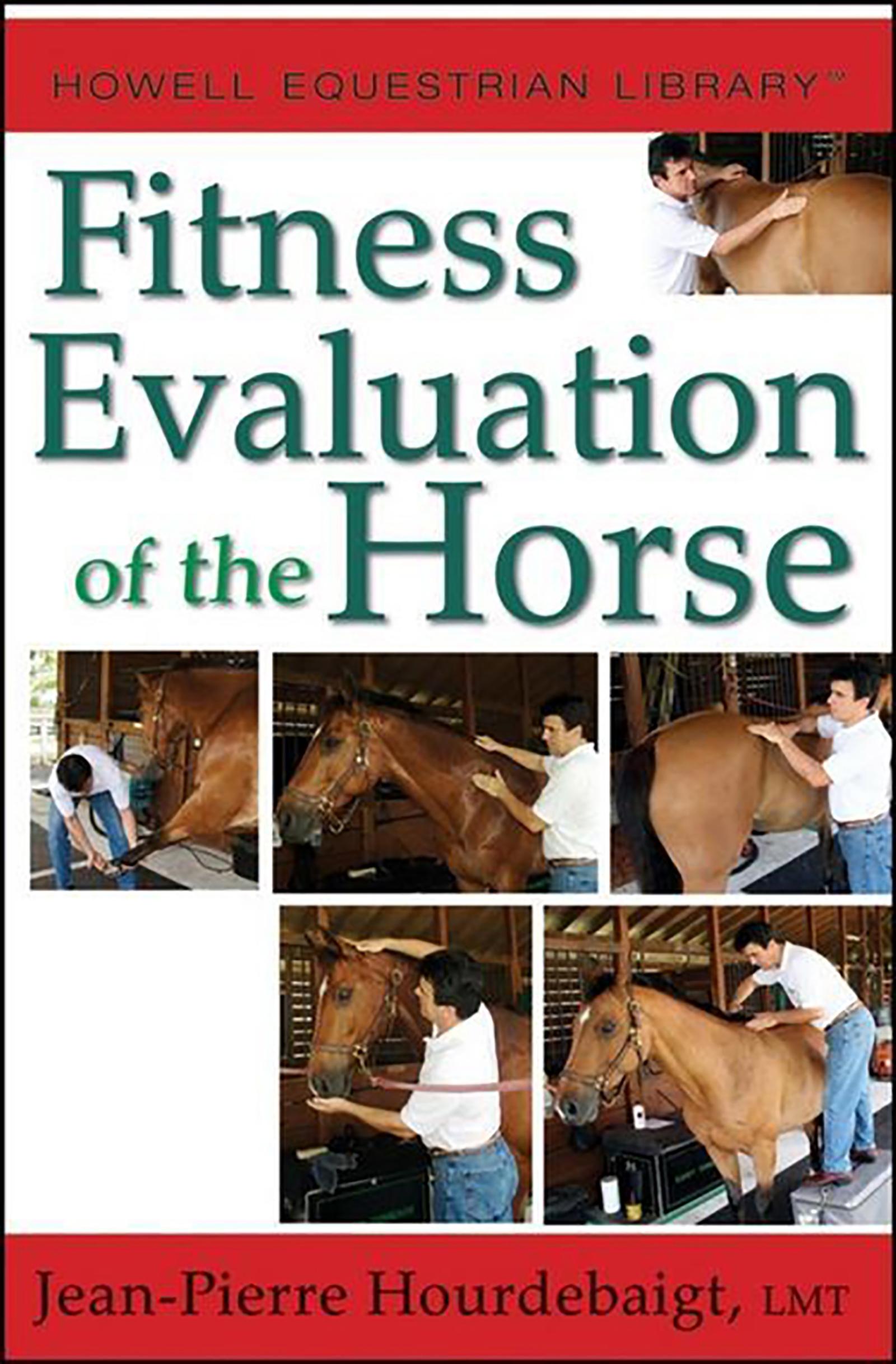 Beispielinhalt (Bild) Fitness Evaluation of the Horse