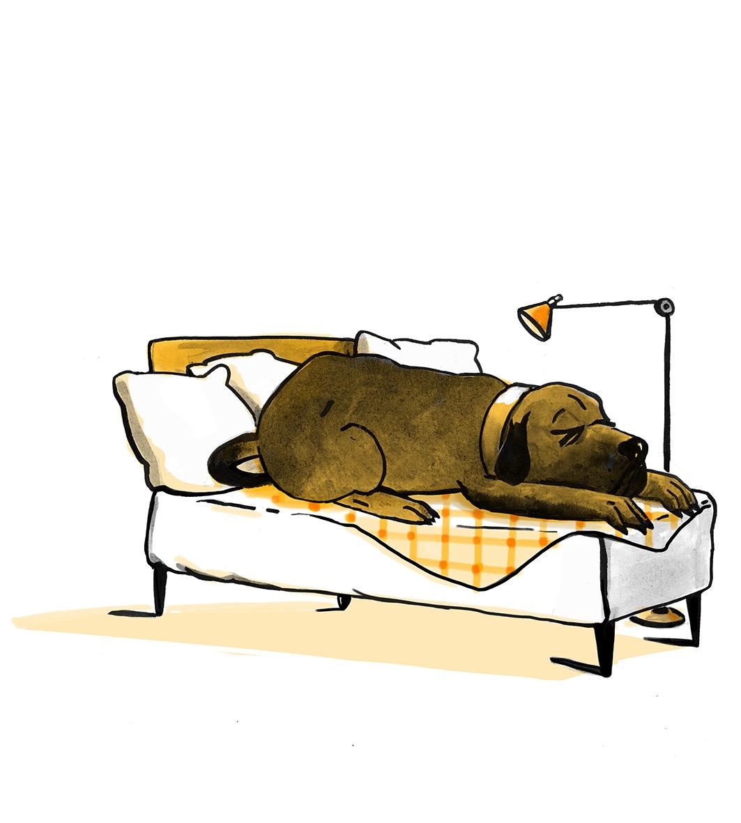 Beispielinhalt (Bild) Die letzten Ninjas auf der Achterbahn