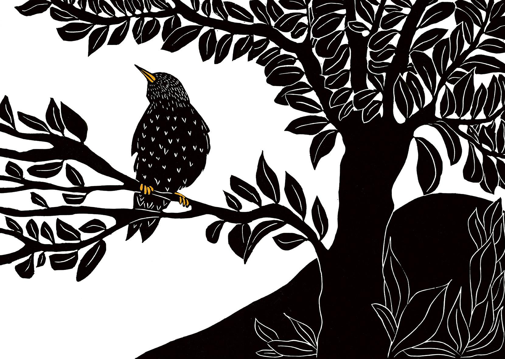 Beispielinhalt (Bild) Das Lied des Stars