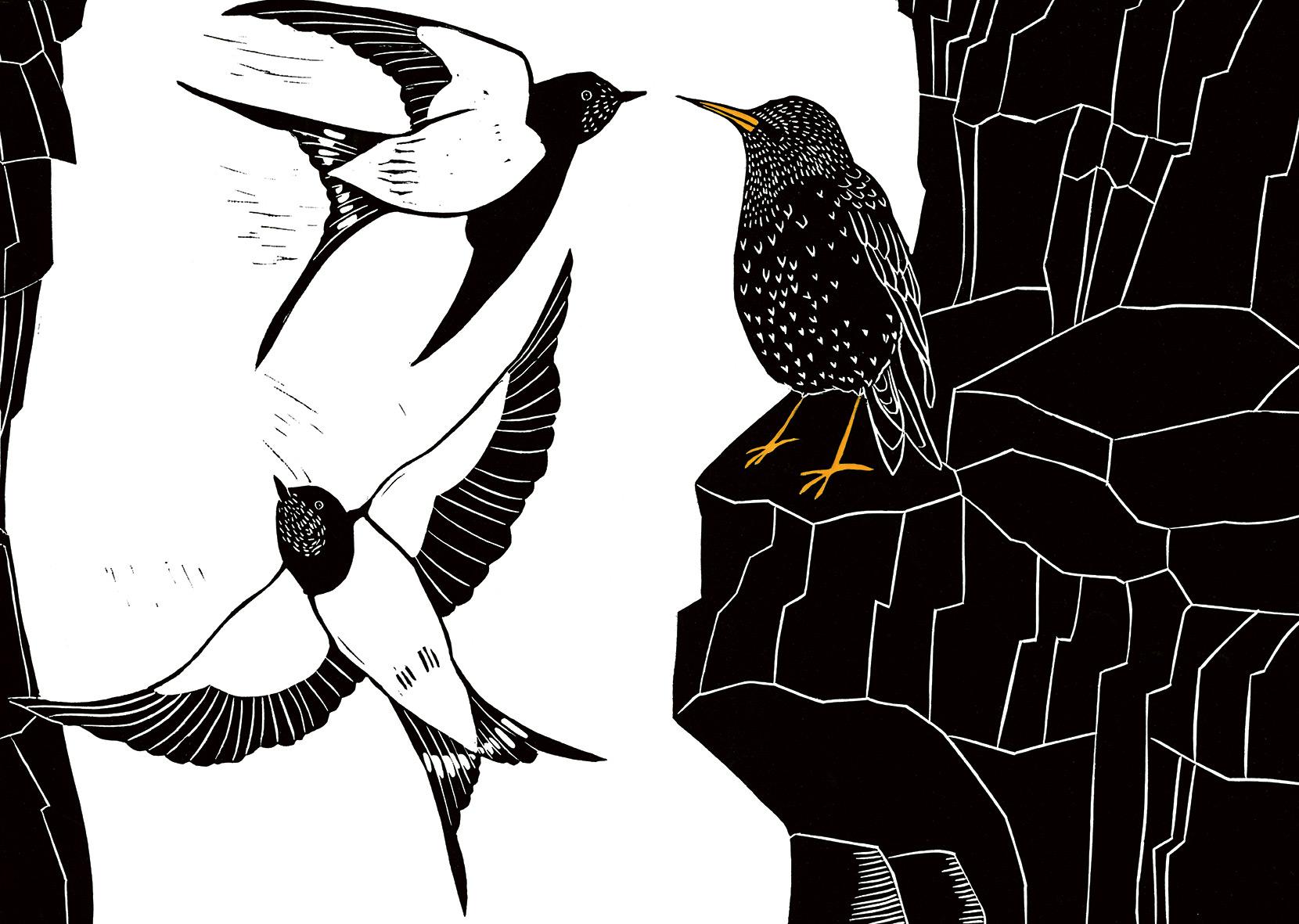 Beispielinhalt (Bild) Das Lied des Stars