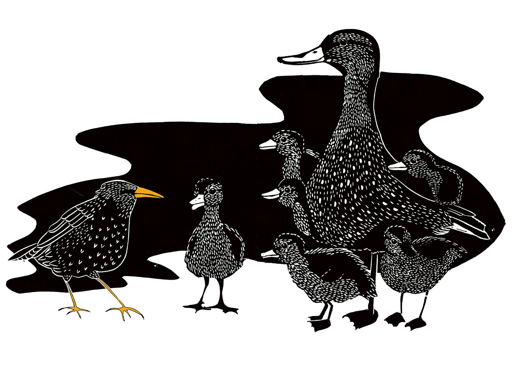 Beispielinhalt (Bild) Das Lied des Stars