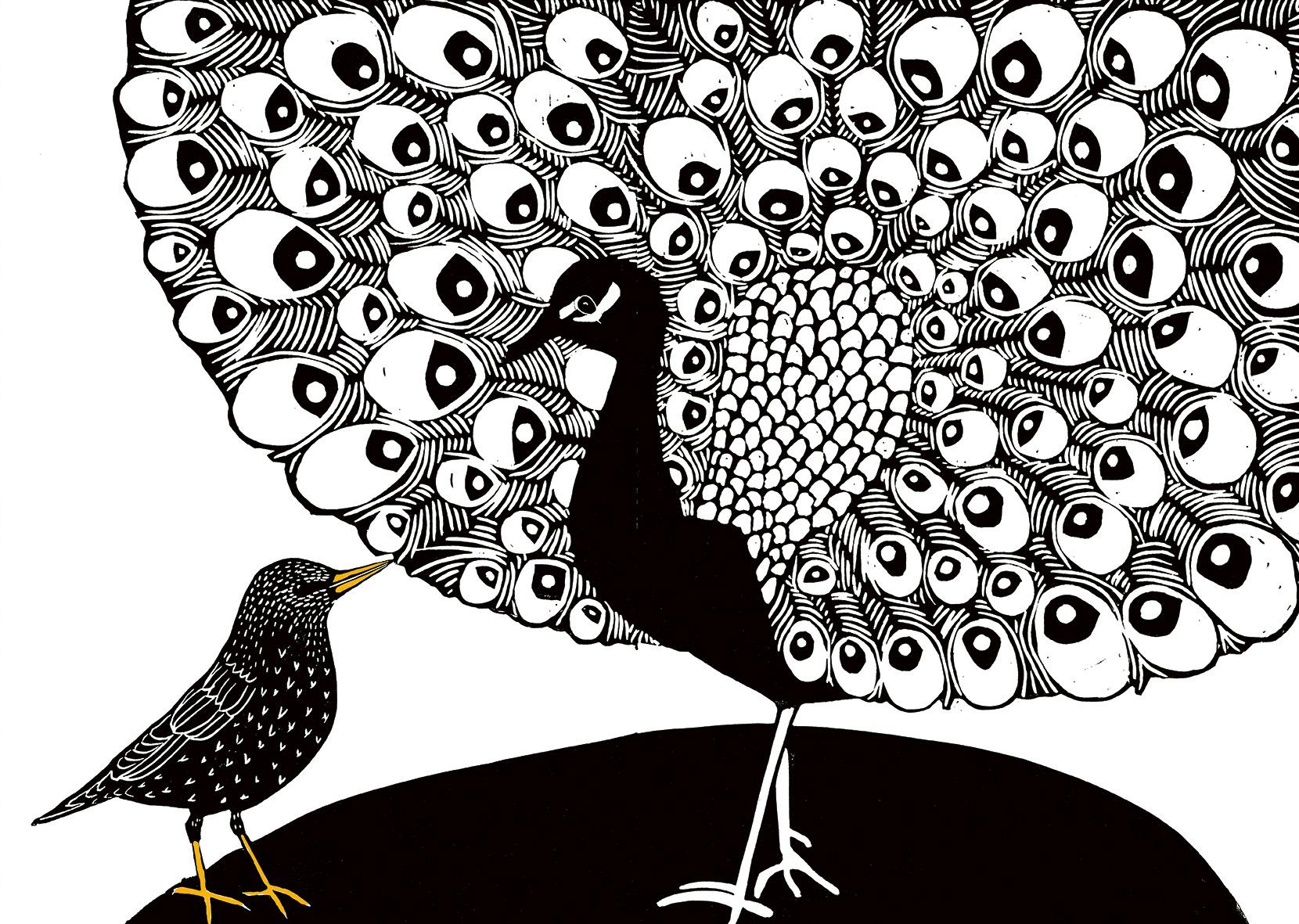 Beispielinhalt (Bild) Das Lied des Stars