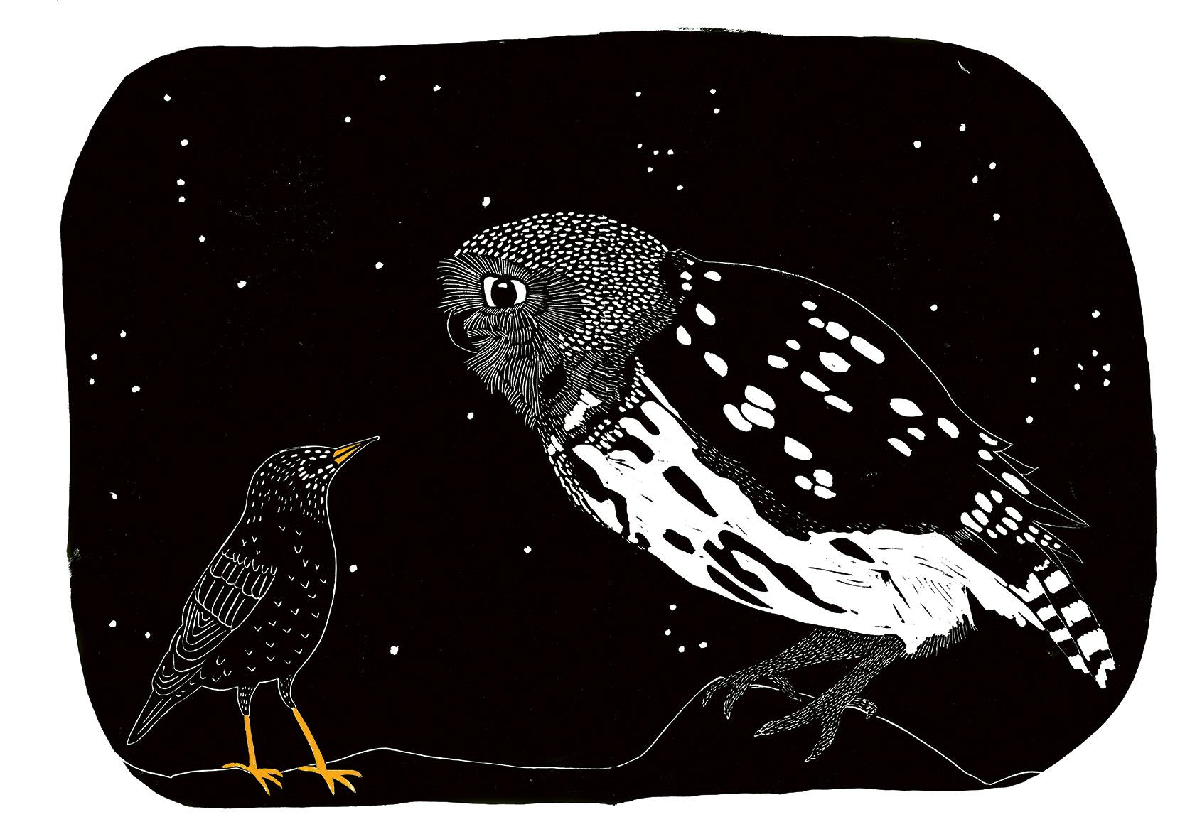 Beispielinhalt (Bild) Das Lied des Stars