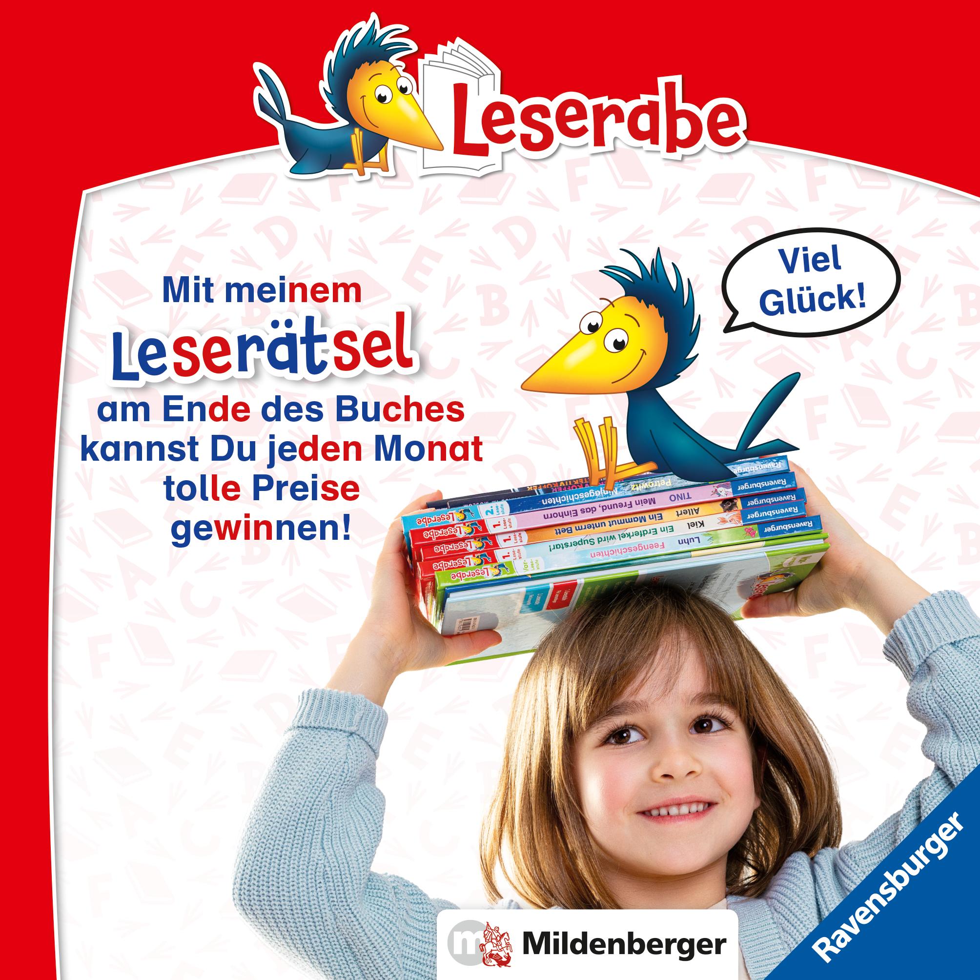 Beispielinhalt (Bild) Leserabe mit Mildenberger Silbenmethode - Radau in der Ritterschule