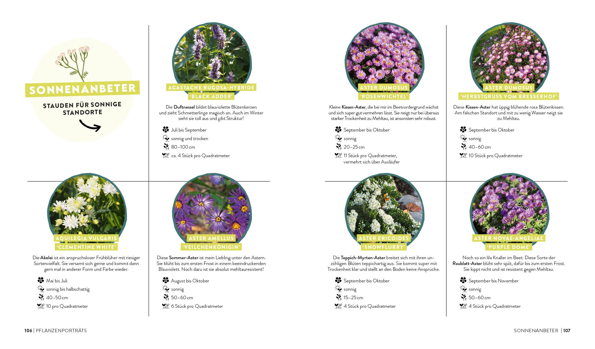 Beispielinhalt (Bild) Keine Zeit zu Gärtnern - Blumenparadies mit wenig Aufwand