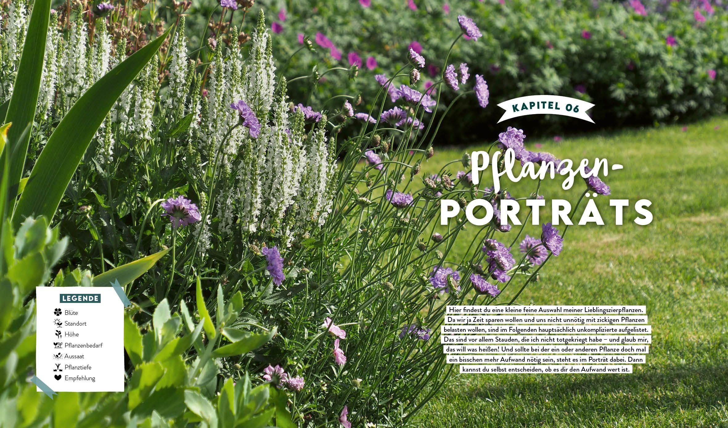 Beispielinhalt (Bild) Keine Zeit zu Gärtnern - Blumenparadies mit wenig Aufwand