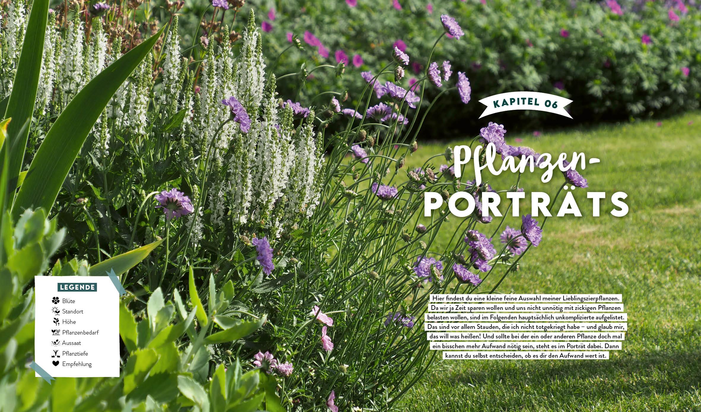 Beispielinhalt (Bild) Keine Zeit zu Gärtnern - Blumenparadies mit wenig Aufwand