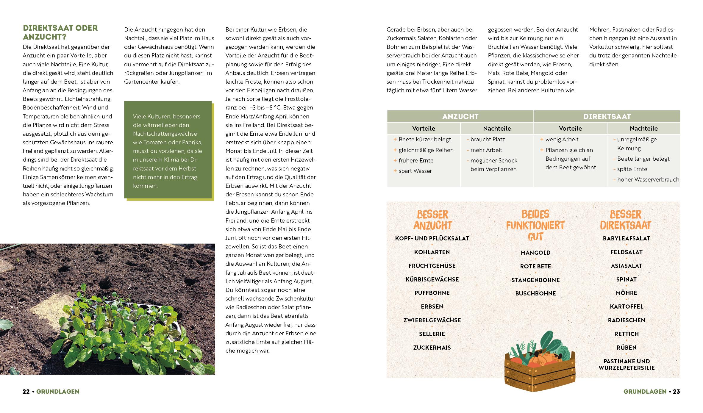Beispielinhalt (Bild) Ernte mehr als du denkst