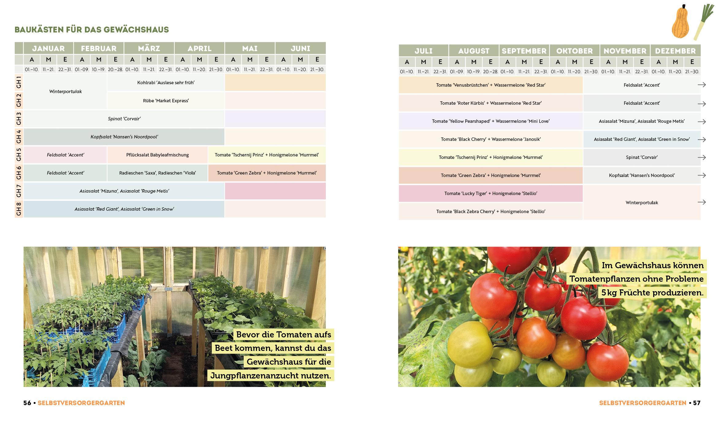 Beispielinhalt (Bild) Ernte mehr als du denkst