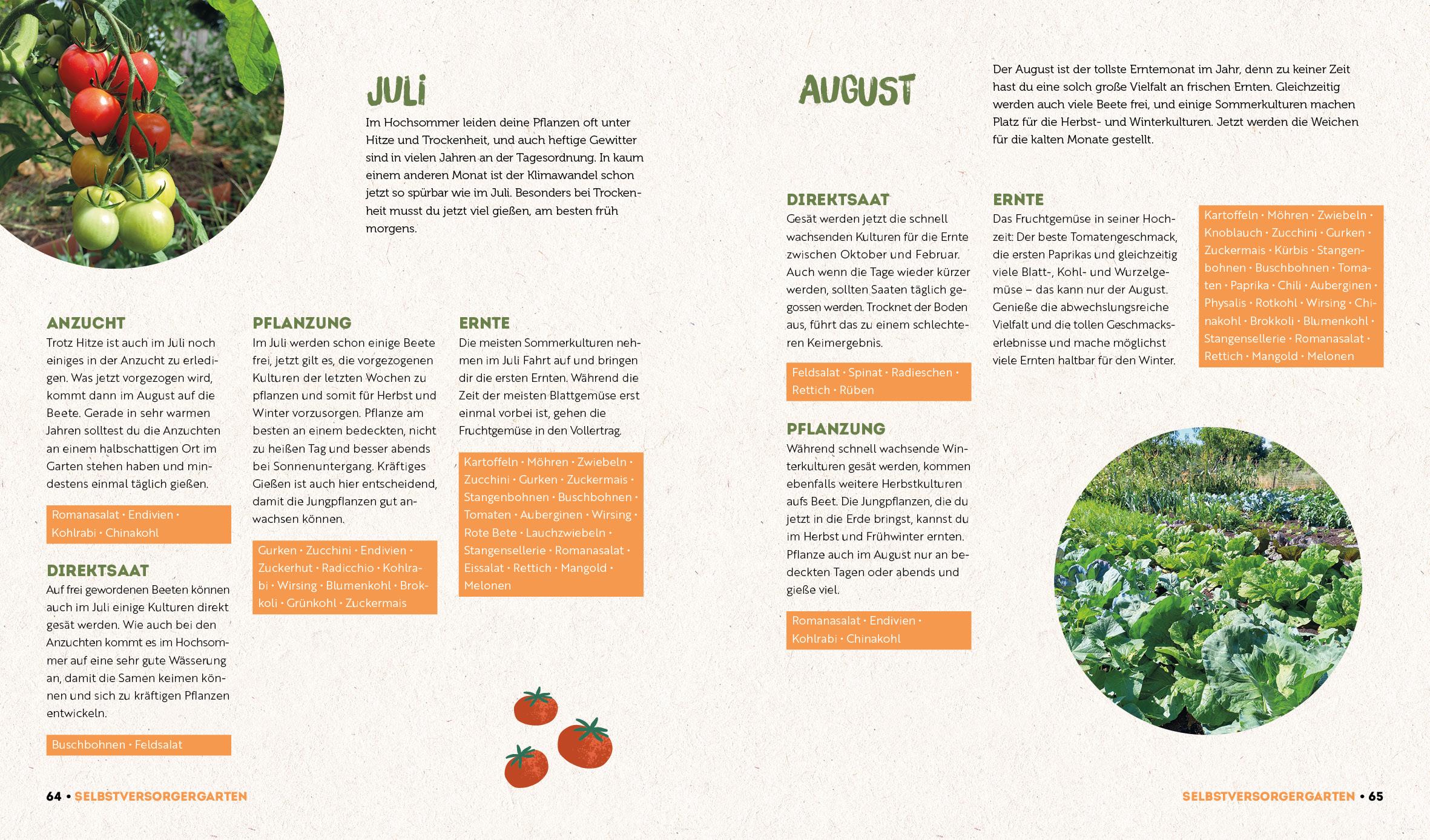 Beispielinhalt (Bild) Ernte mehr als du denkst