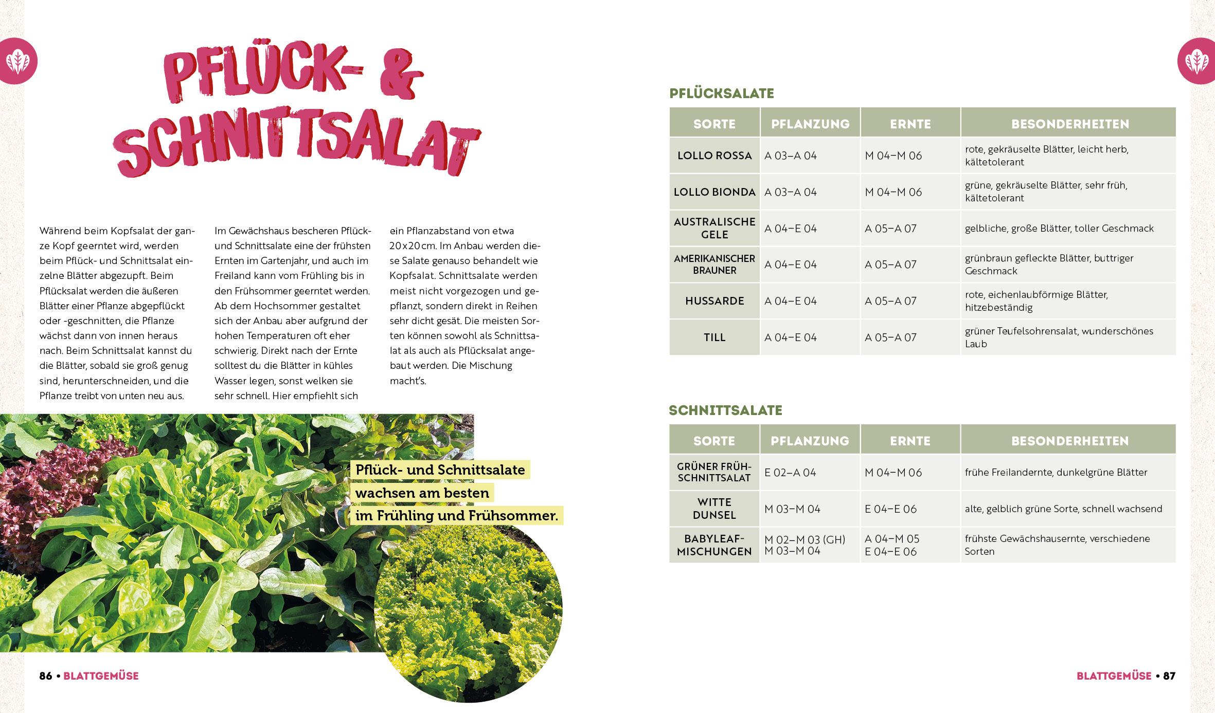 Beispielinhalt (Bild) Ernte mehr als du denkst