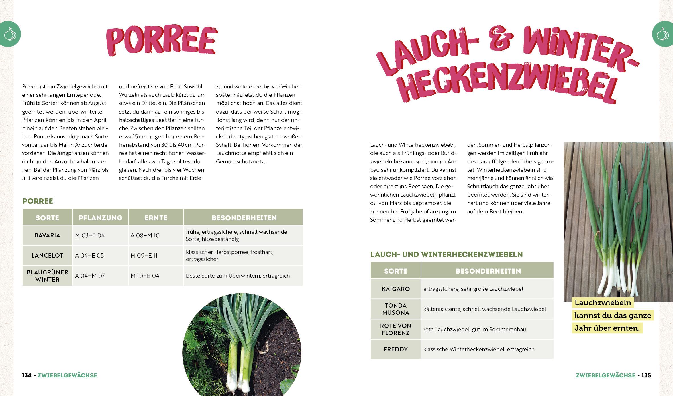 Beispielinhalt (Bild) Ernte mehr als du denkst