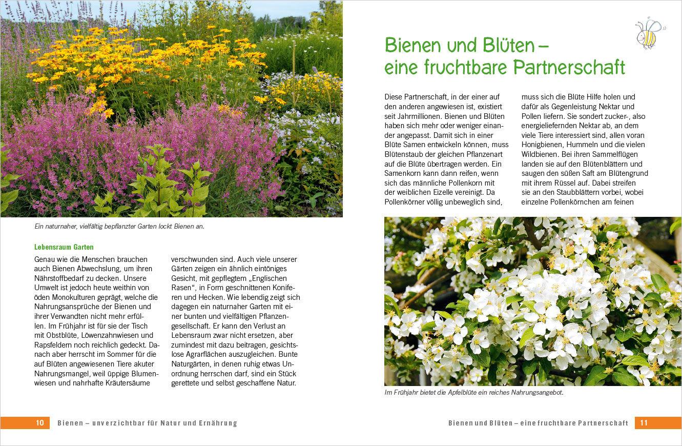 Beispielinhalt (Bild) Die schönsten Pflanzen für Bienen und Hummeln. Für Garten, Balkon & Terrasse