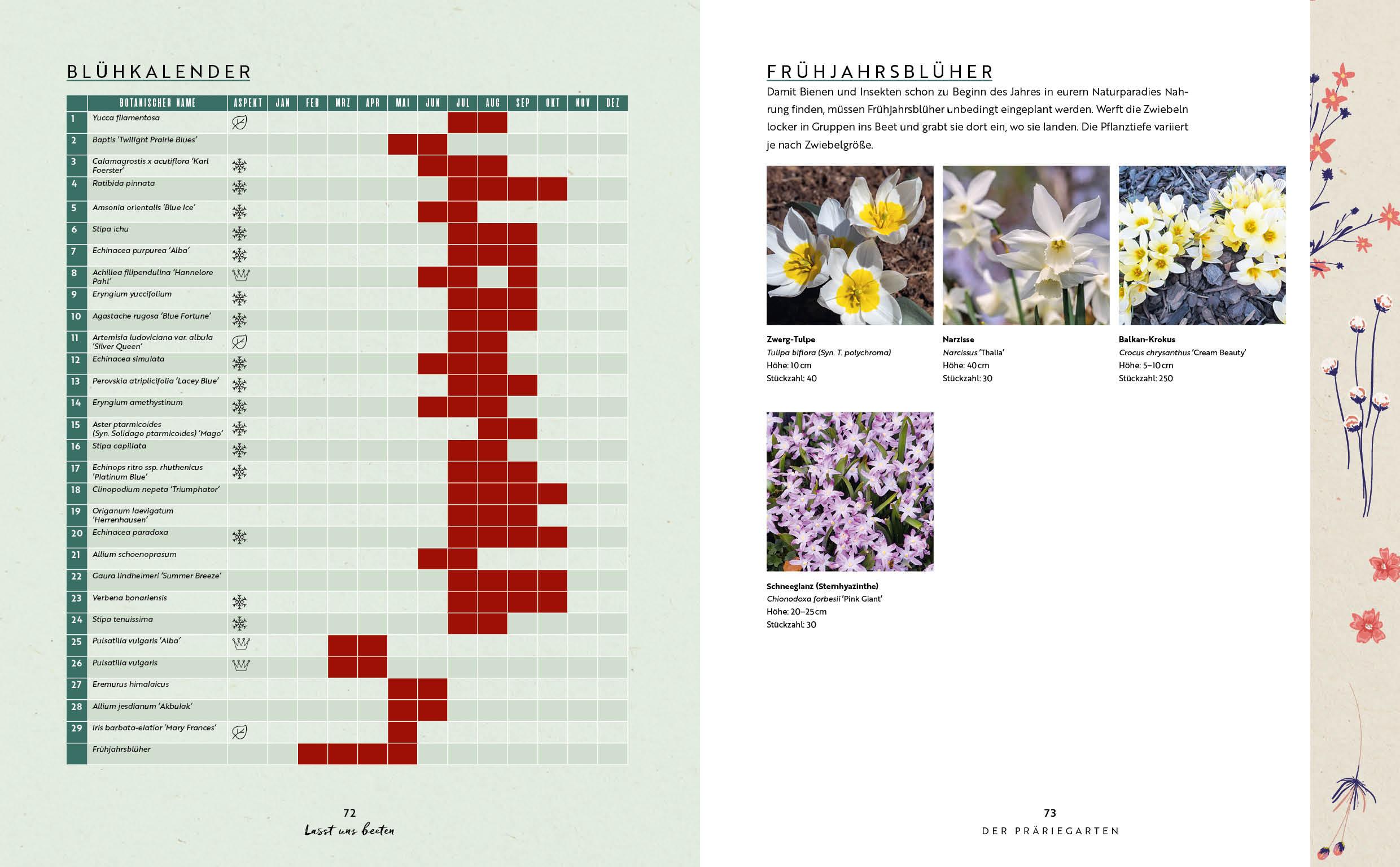 Beispielinhalt (Bild) Lasst uns beeten