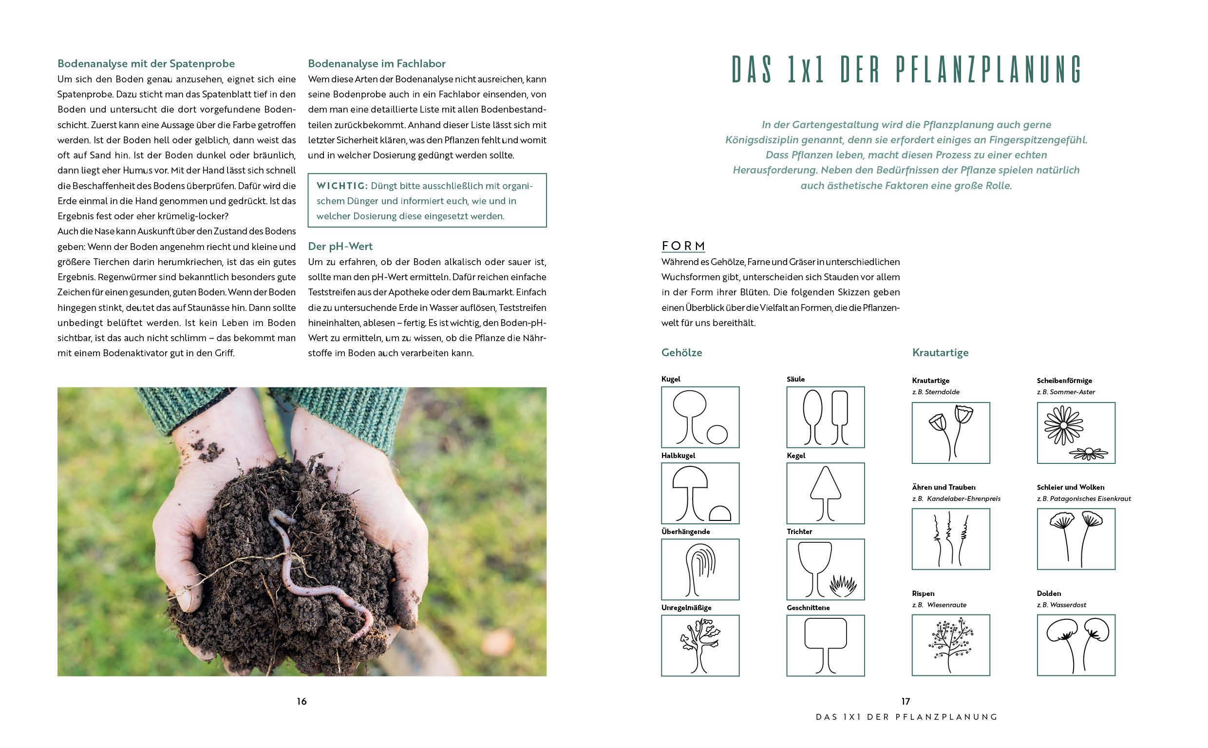 Beispielinhalt (Bild) Lasst uns beeten