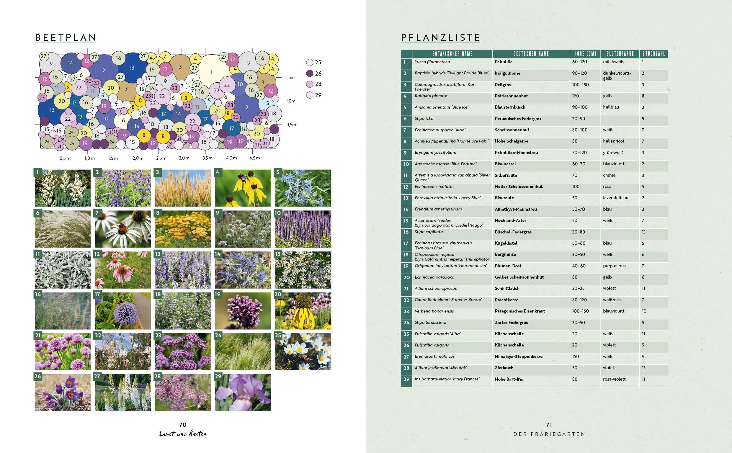 Beispielinhalt (Bild) Lasst uns beeten