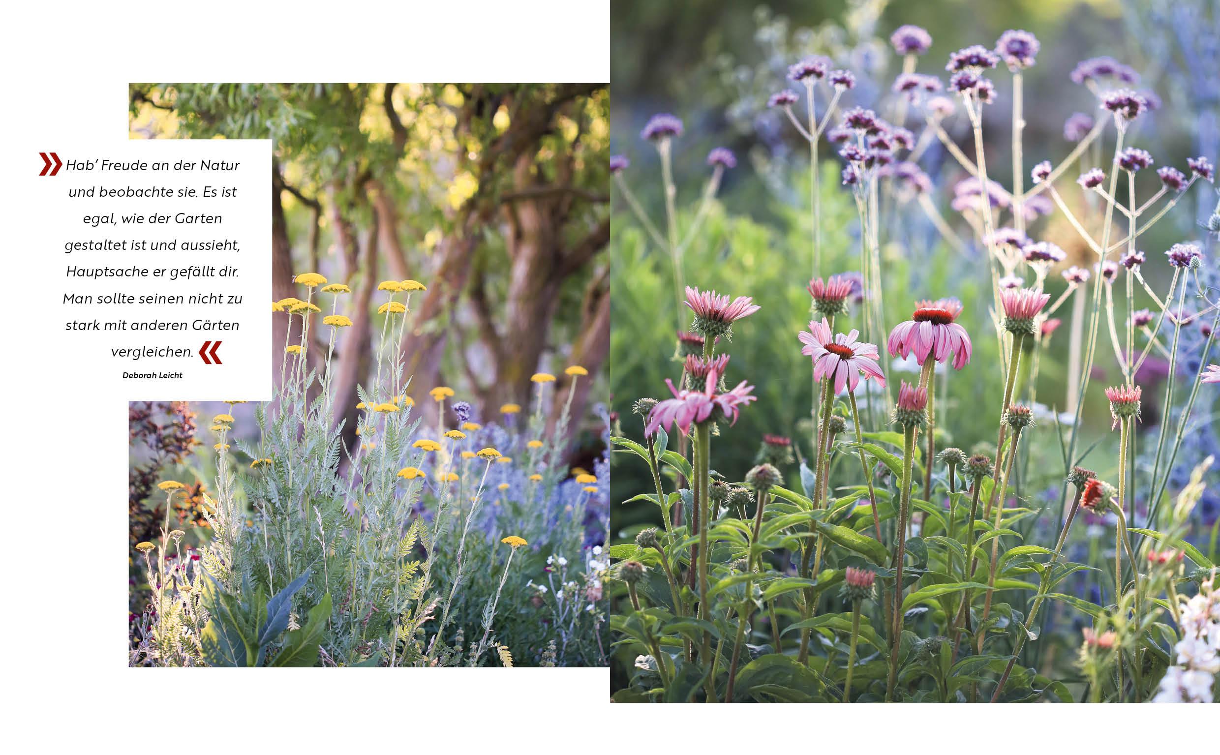 Beispielinhalt (Bild) Lasst uns beeten