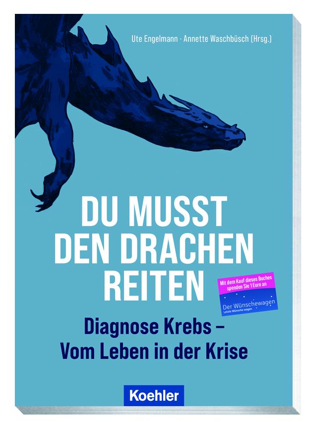 Vorderes Coverbild Du musst den Drachen reiten