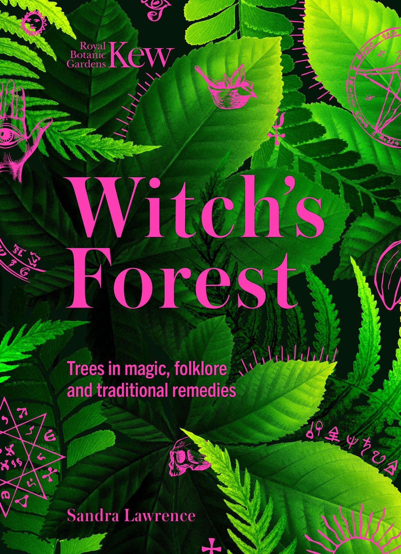 Vorderes Coverbild Witch's Forest