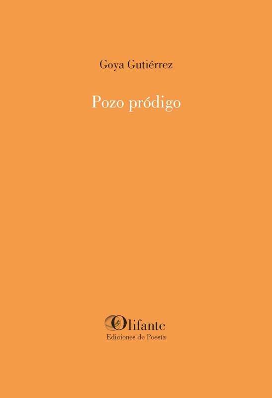 Vorderes Coverbild Pozo pródigo