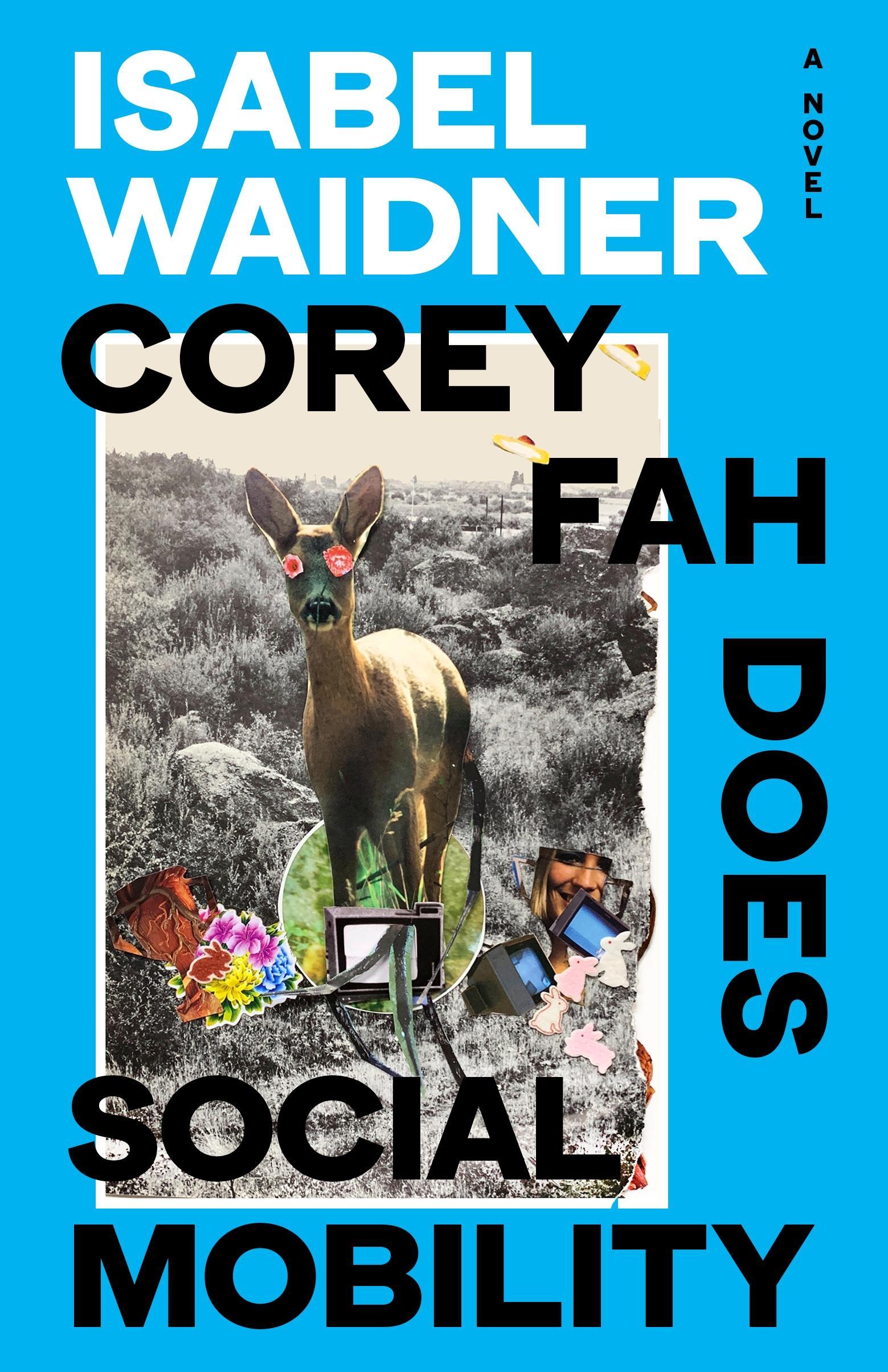 Vorderes Coverbild Corey Fah Does Social Mobility