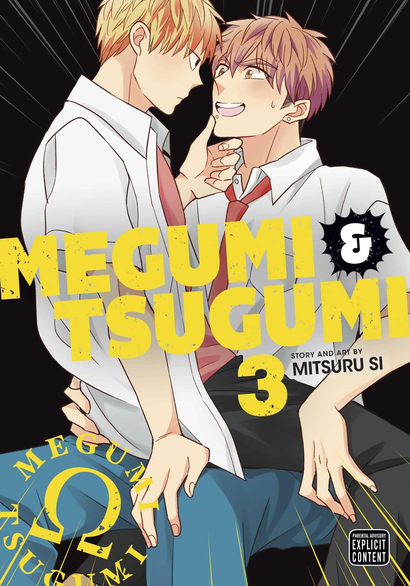 Vorderes Coverbild Megumi & Tsugumi, Vol. 3