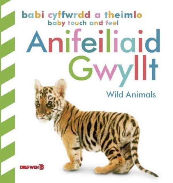 Vorderes Coverbild Babi Cyffwrdd a Theimlo: Anifeiliaid Gwyllt / Baby Touch and Feel: Wild Animals