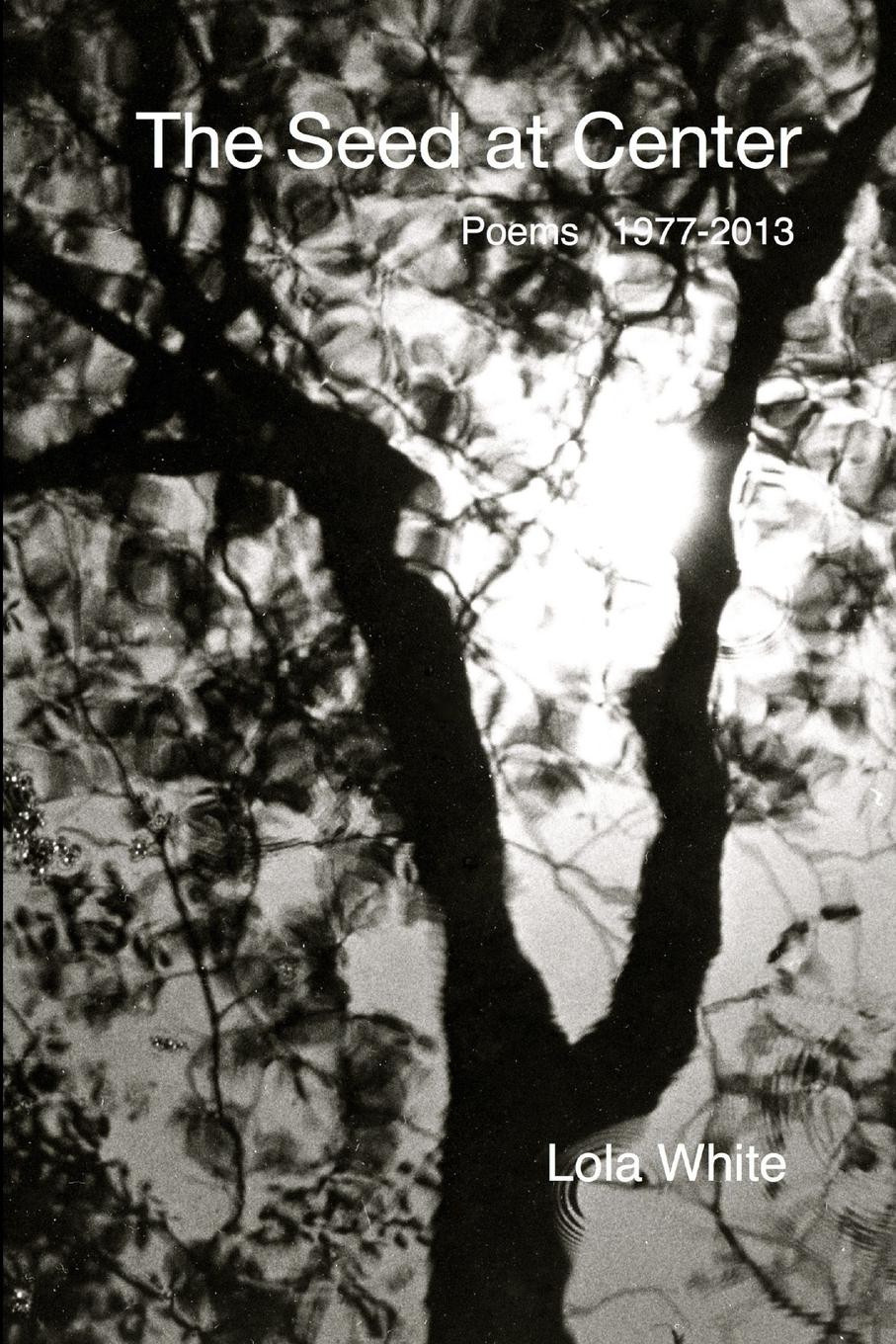 Vorderes Coverbild The Seed at Center