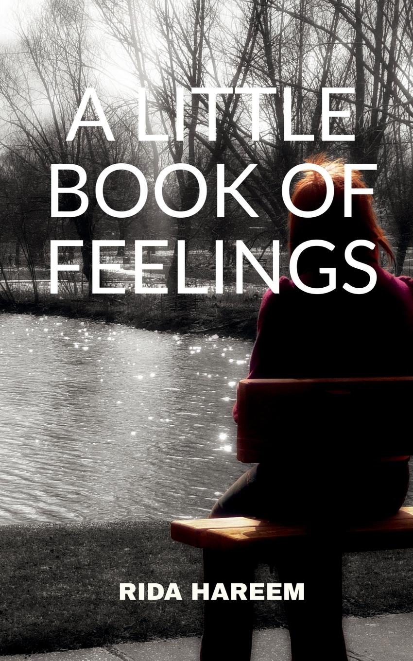 Vorderes Coverbild A  Little Book of Feelings