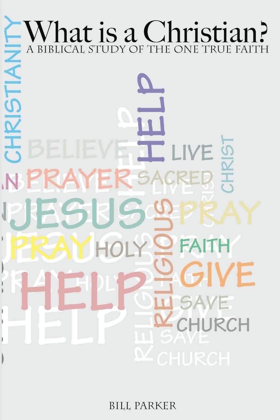 Vorderes Coverbild What is a Christian?