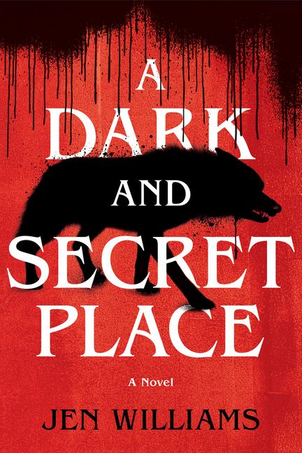 Vorderes Coverbild A Dark and Secret Place