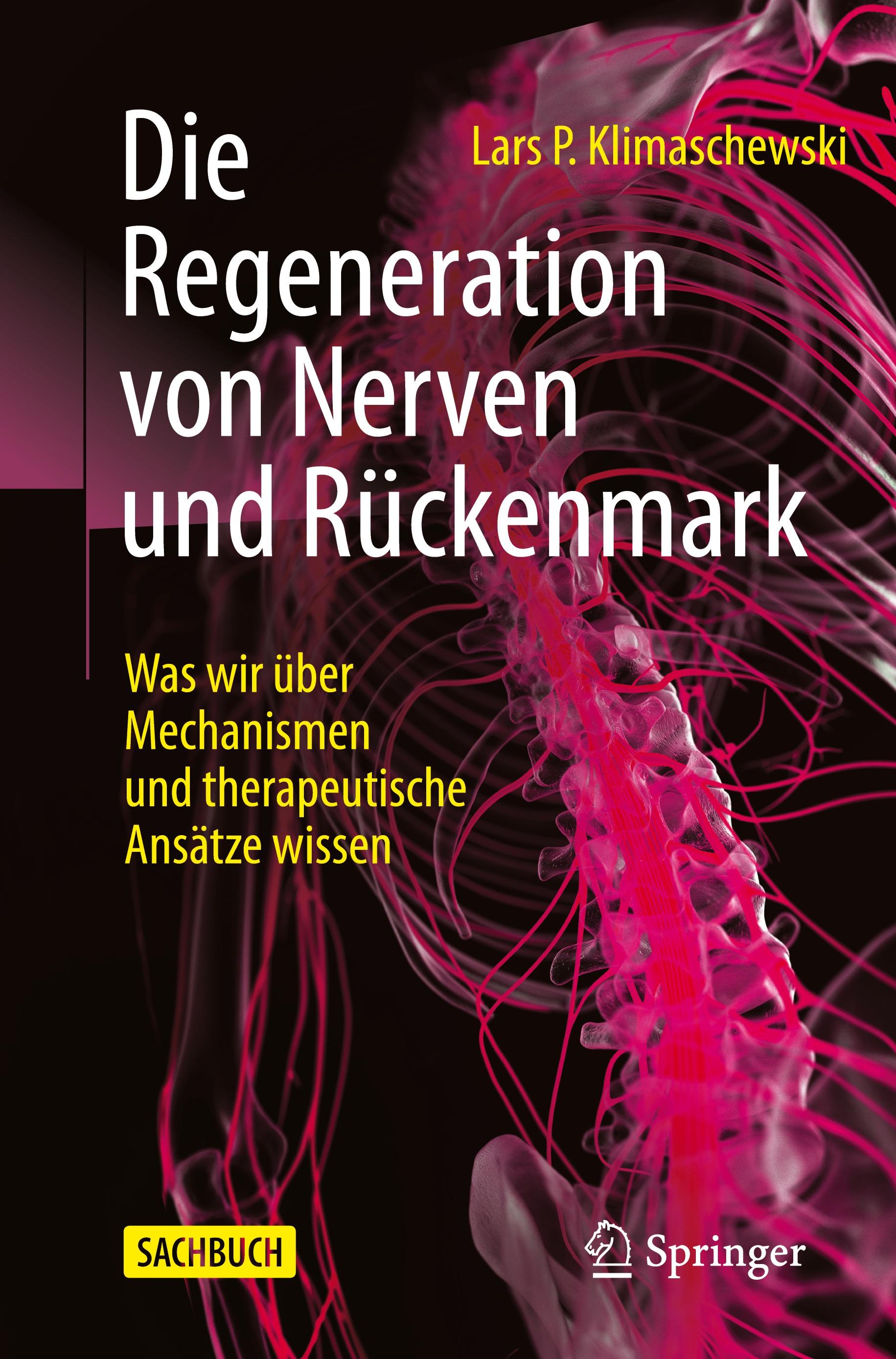 Vorderes Coverbild Die Regeneration von Nerven und Rückenmark
