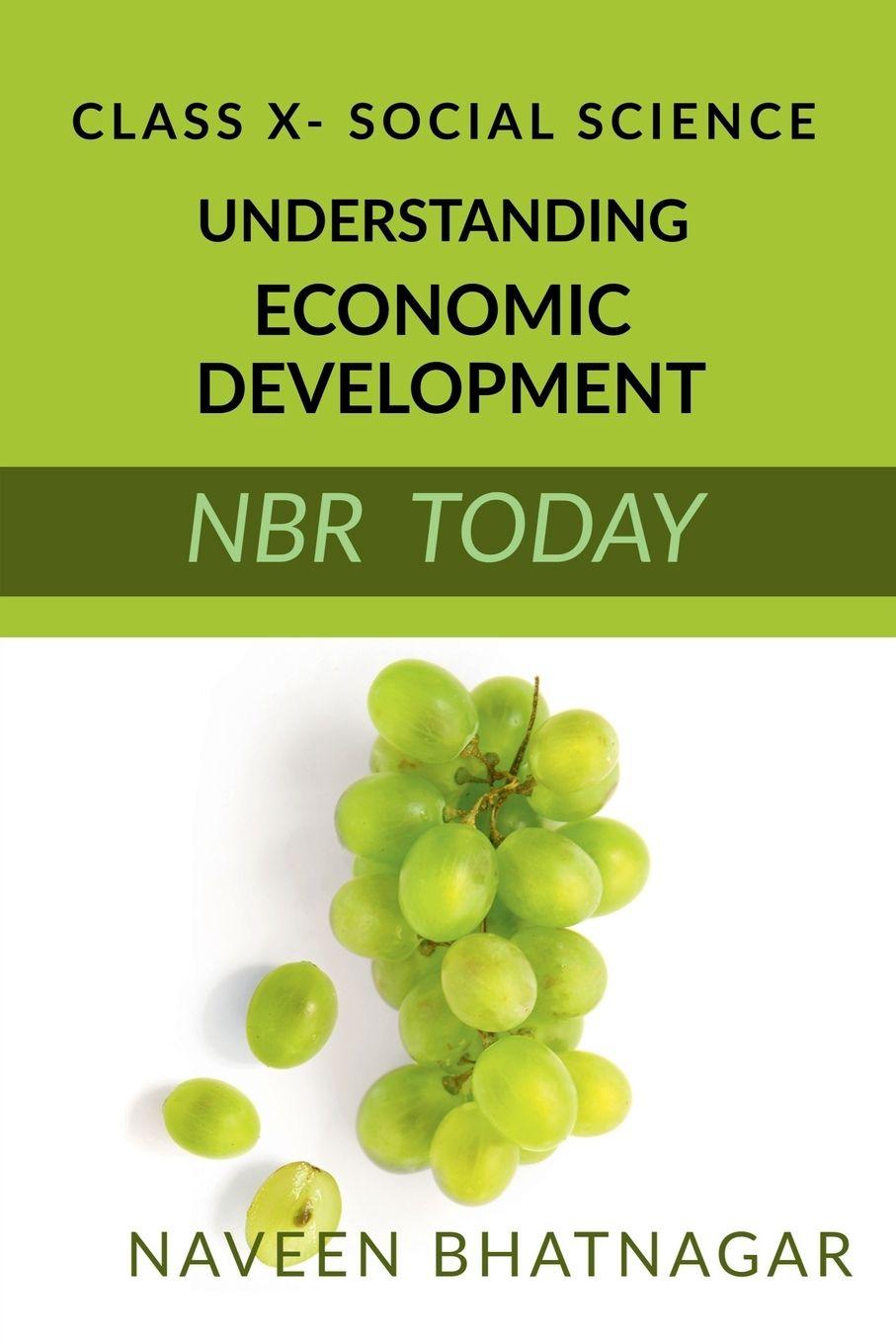 Vorderes Coverbild Class X Understanding Economic Development