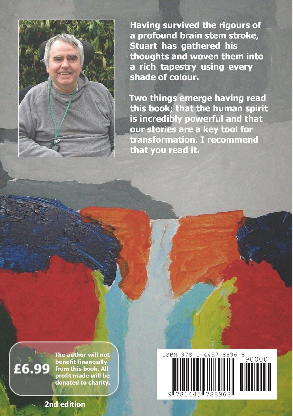 Rückseitencover A Most Curious Detour