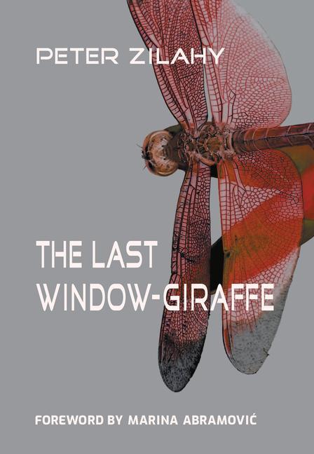Vorderes Coverbild The Last Window-Giraffe