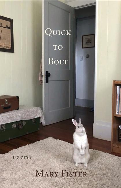 Vorderes Coverbild Quick to Bolt